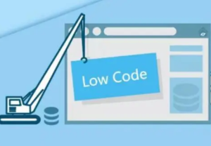 低代碼平臺關(guān)于數(shù)據(jù)對象定版后權(quán)限控制